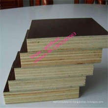 4*8feet Film Faced Plywood for Construction
